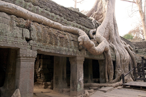 タ・プローム寺院